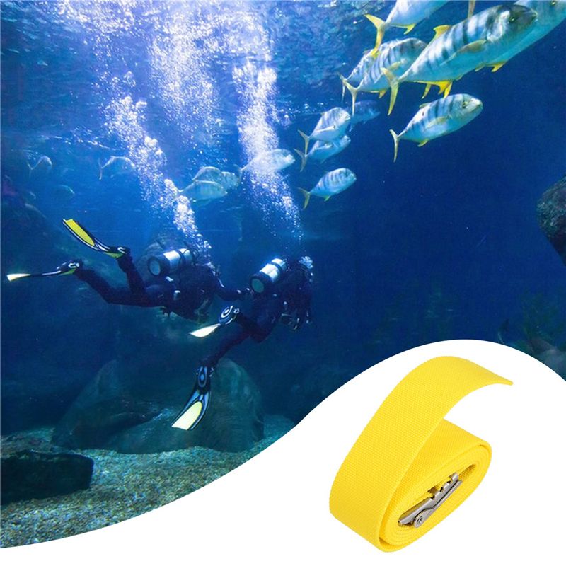 NALFI-Scuba Diving Equipment 1 - Dive Weight Belt 评论和价格